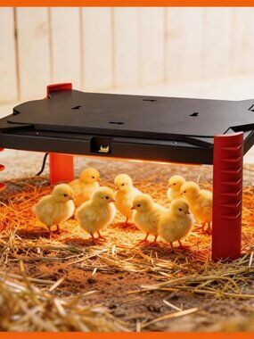 Smart Chicken Brooder Heater